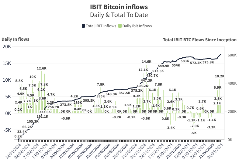 Gráfico diario de las entradas del ETF IBIT.