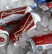 Botellas de cervezas Budweiser, una de las marcas que se podrían ver afectadas por los aranceles europeos