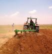 Massa Greens, flors comestibles conreades a la Ribera Alta per a l’alta cuina