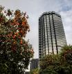 Portugal se opone a que un banco español compre Novobanco por problemas de competencia