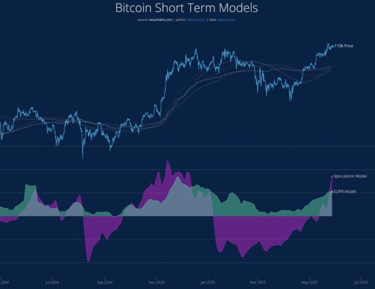 Willy Woo: «la especulación sobre bitcoin se está enloqueciendo»