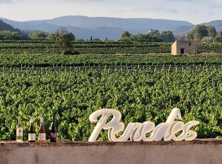 Un total de 5.141 hectáreas se destinaron a obtener uvas para elaborar vinos amparados por la DO Penedès en 2024
