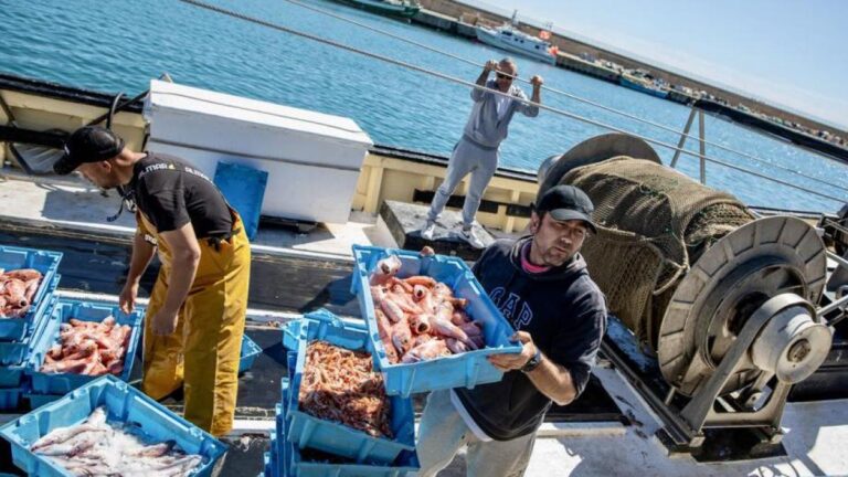 Agricultura ampliará la asignación pesquera para la flota en el Mediterráneo