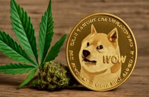 Empresa de cannabis avanzaría en la creación de una tesorería de dogecoin