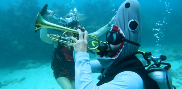 Festival de música subacuática promueve la protección de los arrecifes en Florida