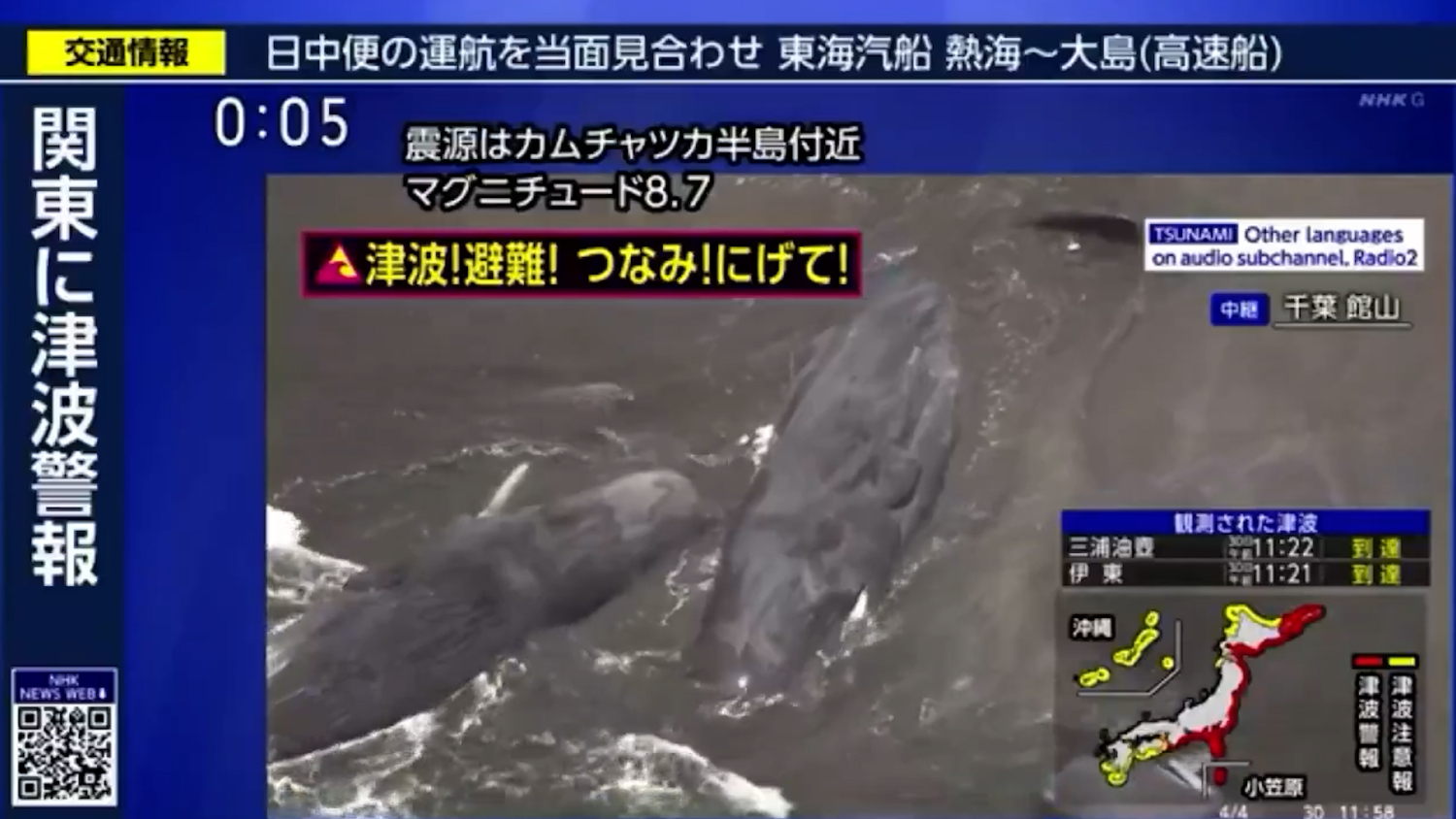 Aparecen cuatro ballenas varadas en Japón horas antes del tsunami