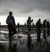 Varios agentes de la Guardia Civil siguen buscando cuerpos en la Albufera, a 15 de noviembre de 2024, en Valencia, Comunidad Valenciana (España). La Guardia Civil sigue buscando a las 16 personas desaparecidas por la DANA. La búsqueda de cuerpos está centrada en la Albufera, una zona que es de difícil acceso. Mercedes González, la directora general de la Benemérita, ha declarado hoy mismo que este dispositivo seguirá desplegado “hasta que sea necesario”.