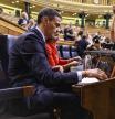 Pleno Congreso de los Diputados Pedro Sanchez