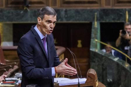 Pleno Congreso de los Diputados Pedro Sanchez