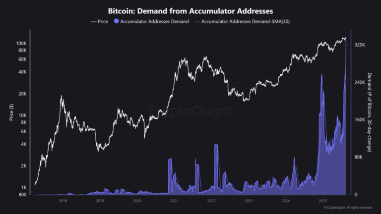 Compras de bitcoin se disparan a máximo histórico