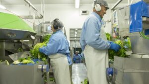 Los mayores deberán trabajar más y jubilarse a los 68 para pagar las pensiones
