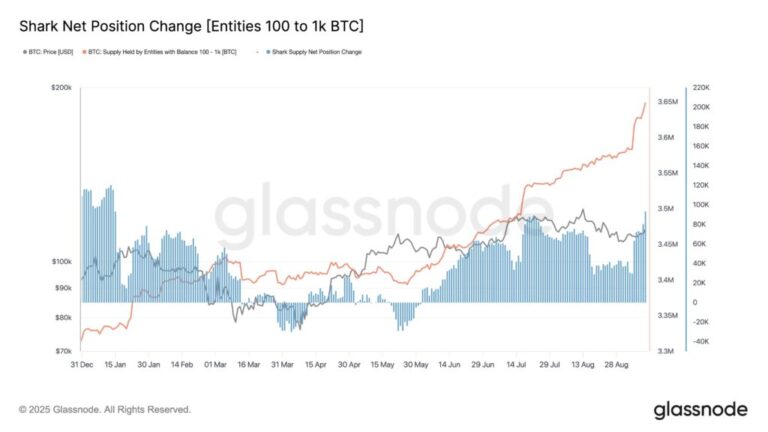 Tiburones de bitcoin compraron 65.000 BTC en una semana