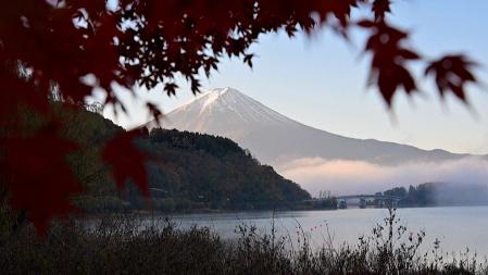 Niebla y hojas de otoño envuelven el monte Fuji de Japón
