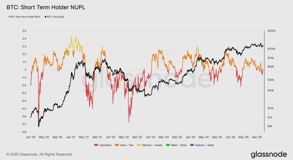 Gráfica de una línea roja-amarillo que refleja el STH NUPL y una línea negra que muetra el precio de BTC.