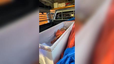 Una mujer da señales de vida en el ataúd antes de ser incinerada en Tailandia
