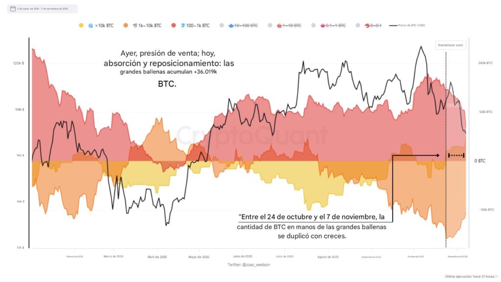 Gráfica de bandas de colores que representan la acumulación de Bitcoin por parte de las ballenas.