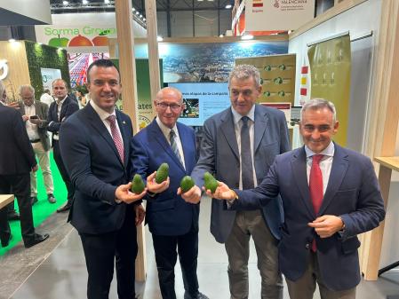 El aguacate es el único cultivo que mejora en 2025 en la asfixiada agricultura valenciana