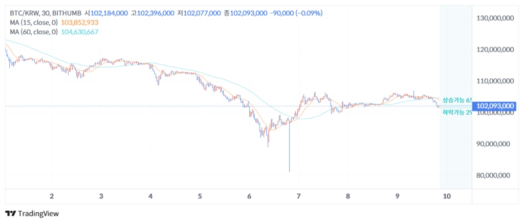 Gráfico del precio de bitcoin en Bith.umb 