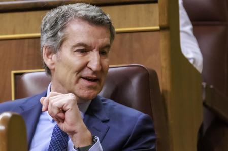 Alberto Nuñez Feijoo en el Congreso 