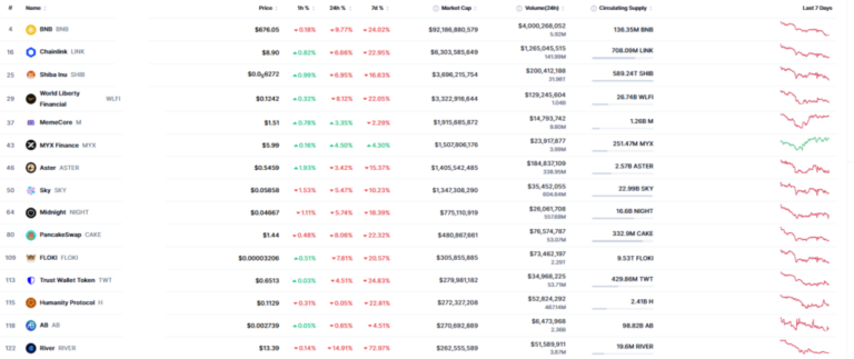 Hay un masivo desplome en tokens de BNB Chain