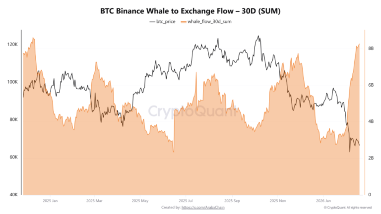Hay un masivo movimiento de ballenas de bitcoin hacia Binance