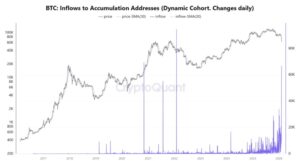 Las ballenas de bitcoin arrasaron durante la caída del mercado