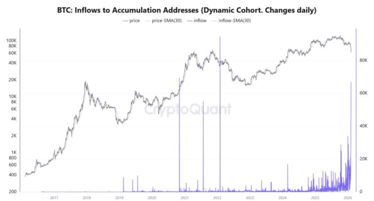 Las ballenas de bitcoin arrasaron durante la caída del mercado
