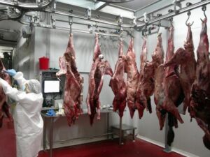 Las empresas que recogen la carne de jabalí en Catalunya inician un paro indefinido