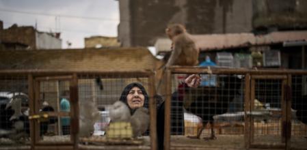 Guerra en Irán contra EE.UU. e Israel, en directo | Un bombardeo contra la red eléctrica provoca un apagón en varias zonas de Teherán