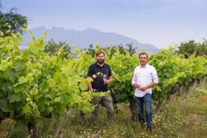 La espumosos de Corpinnat se disparan en volumen y en facturación