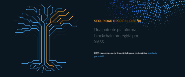 ¿Qué criptomonedas señala Google que son resistentes a la cuántica y por qué? 