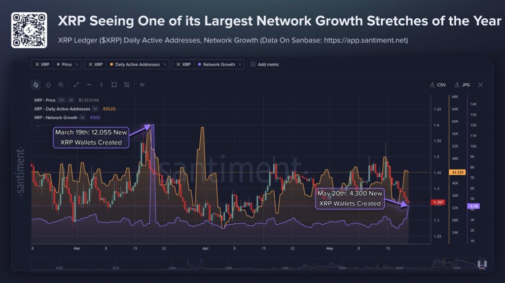 Gráfico de Santiment que muestra el precio, nuevas wallets de XRP.