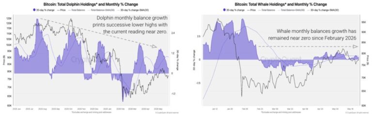 Ballenas y delfines de bitcoin están comprando BTC al ritmo más lento de 2026