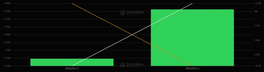 Gráfico de barras verdes mostrando el desempeño de los ETF de HYPE.