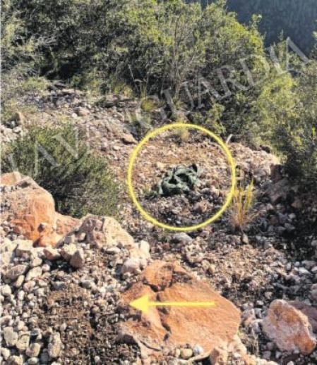 El supuesto resbalón de Isak Andic y su chaqueta, en una imagen avanzada por La Vanguardia