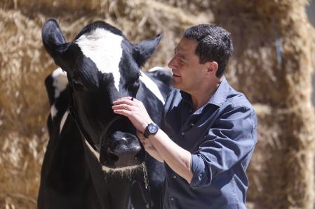 El paradigma andaluz