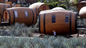 El sabor amargo de Tequila