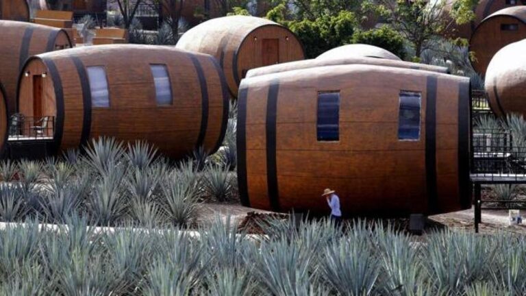 El sabor amargo de Tequila