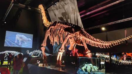 Sala de los dinosaurios en el Museo Aragonés de Paleoontología