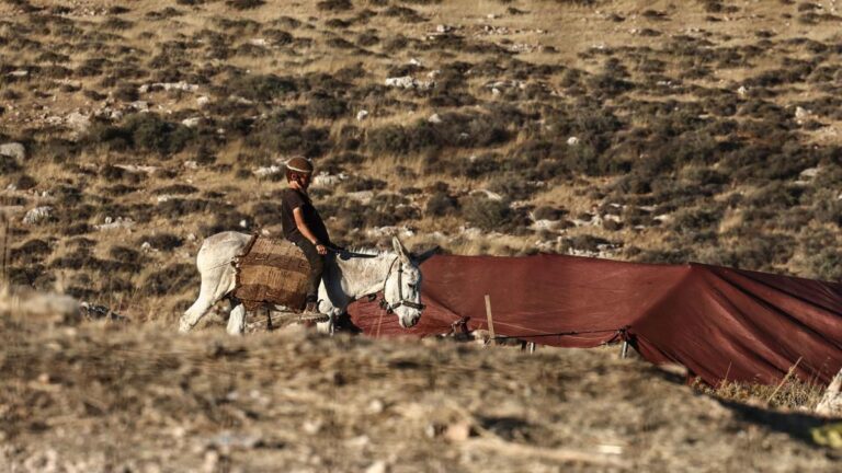 Amnistía Internacional acusa a Israel de limpieza étnica en Cisjordania e insta a la UE a ejercer presión sobre el Gobierno Israelí