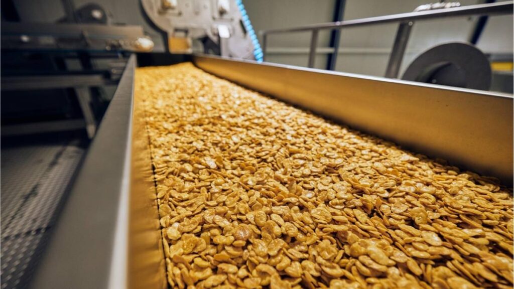 La valenciana Importaco supera por primera vez los 1.000 millones de euros de facturación