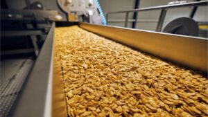La valenciana Importaco supera por primera vez los 1.000 millones de euros de facturación