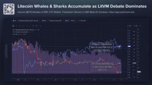 Litecoin pasa desapercibida, pero ballenas acumulan discretamente atraídas por LitVM