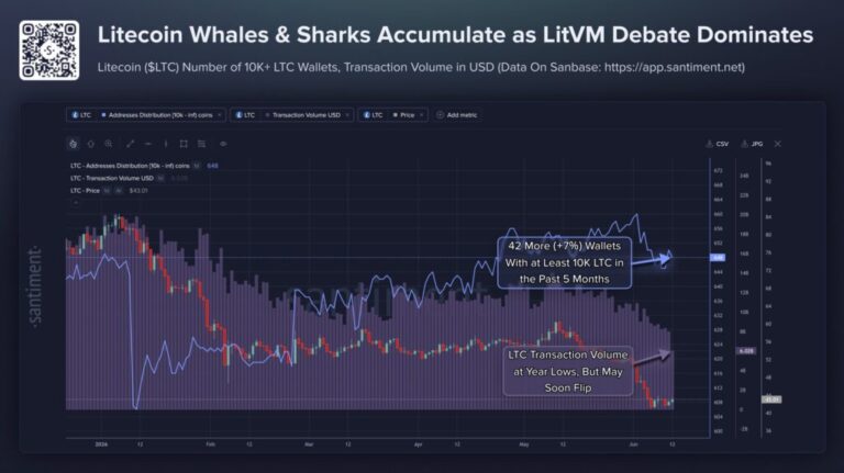 Litecoin pasa desapercibida, pero ballenas acumulan discretamente atraídas por LitVM