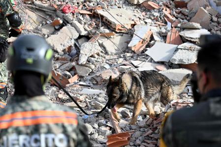 Miembros del ejército mexicano buscan posibles víctimas con un perro de rescate entre los escombros de un edificio derrumbado&nbsp;