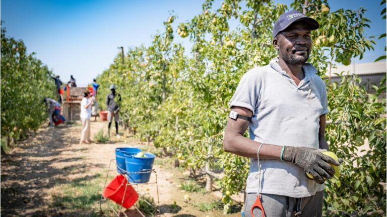 Trabajo refuerza la inspección en los trabajos más expuestos al calor, como el campo y la construcción