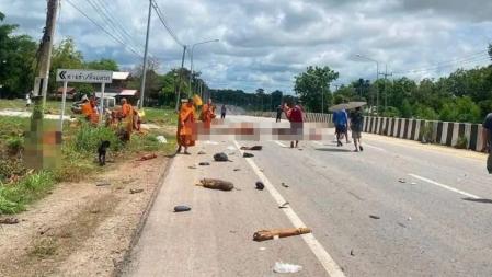 Ocho bonzos mueren atropellados por un niño en Tailandia