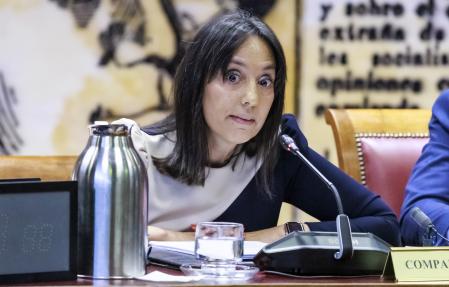 La directora de la Guardia Civil, Mercedes González, durante su comparecencia en el Senado&nbsp;