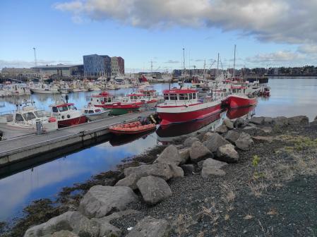 El alma pesquera de Islandia