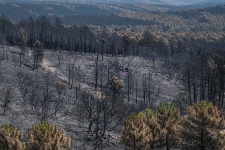 Vista de las zonas arrasadas por el incendio de La Mierla (Guadalajara), que ha quemado unas 32.000 hectáreas.
